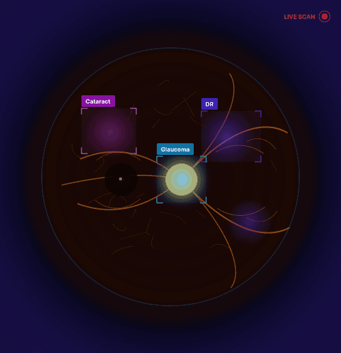 Case Study Image
