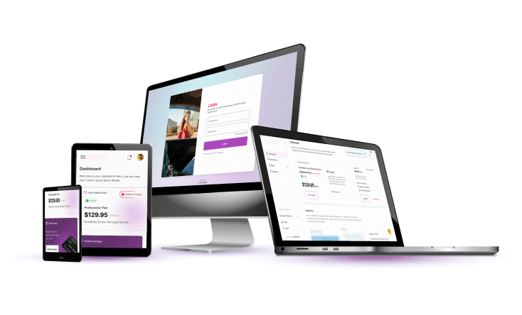 Custom web application development